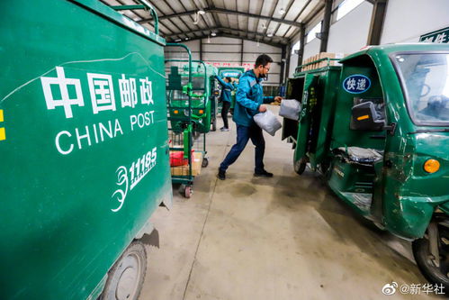 快遞業(yè)務(wù)量突破400億件，電信基礎(chǔ)設(shè)施成重要支撐